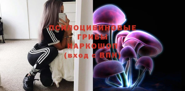 круглые Бородино