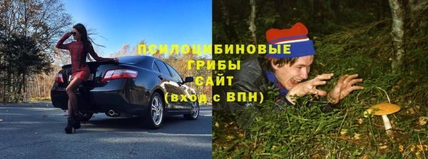 круглые Бородино