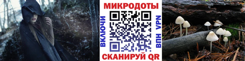 Псилоцибиновые грибы Magic Shrooms Дудинка